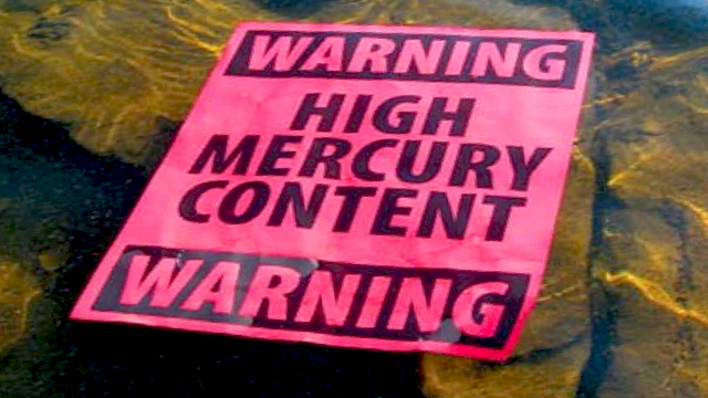 mercury danger sign