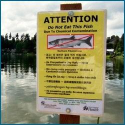 don't eat the fish sign