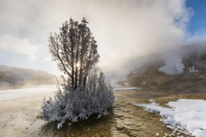 Winter photo of Sunrise at Mammoth Hot Springs, Yellowstone National Park