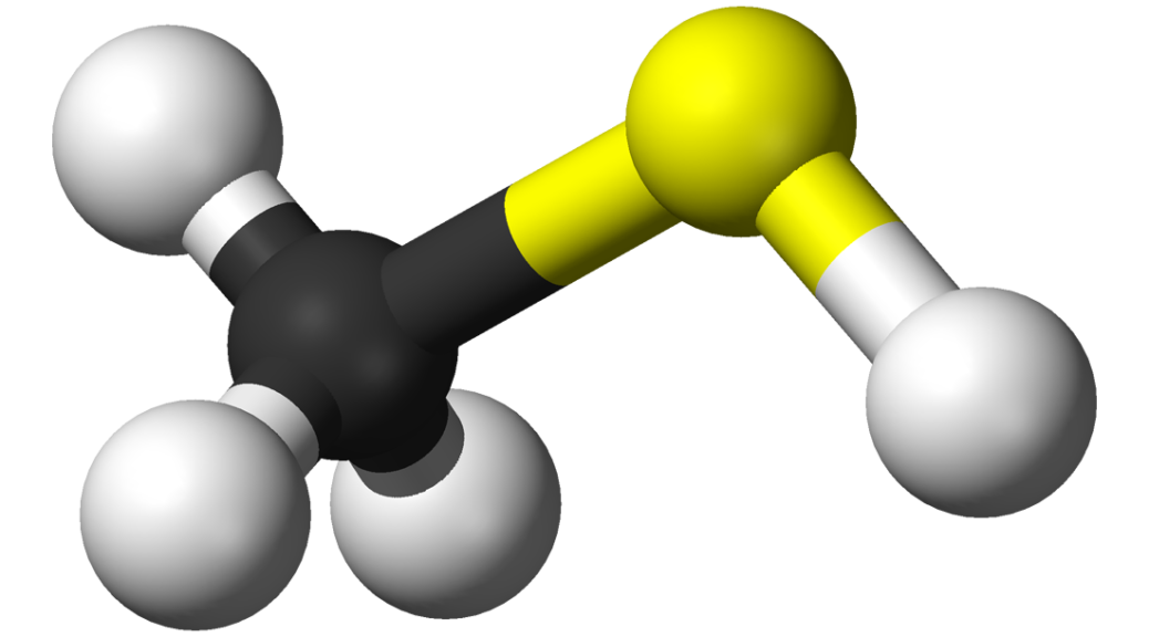 methanethiol molecule model