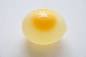 a shelless egg made by dissolving the shell off with vinegar