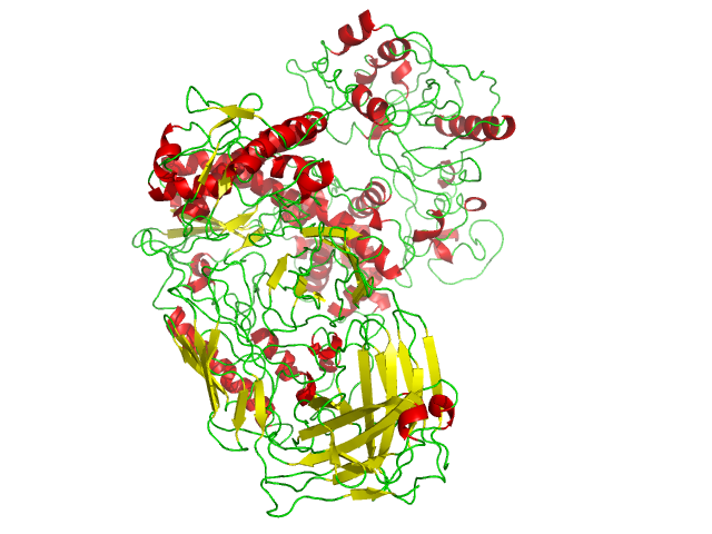 A model of the Taq polymerase molecule